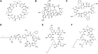 Antimicrobial Peptides and Proteins: From Nature’s Reservoir to the Laboratory and Beyond